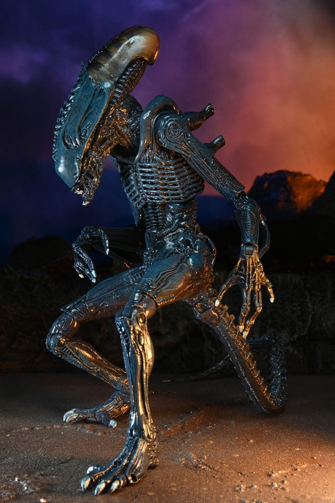 Alien vs Predator Actionfiguren 20 cm Arachnoid Alien  634482517208